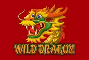 Wild Dragon